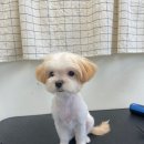 다녀오개습니다 이미지