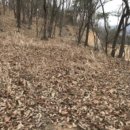 도곡2리마을회관 이미지