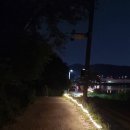 레이크포레스트&백운메밀 이미지