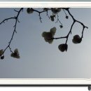 행구수변공원 이미지