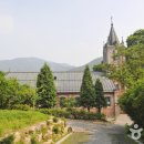 살구나무글램핑&펜션 이미지