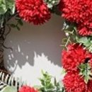 스크루지의마술가게 이미지