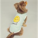 민트도그 이미지