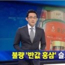 금산고려인삼 - 중구 | 금산고려인삼