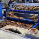 천안 미곡시장 화장실 | 천안 가성비 방어 맛집 찾고있다면 | 직산 수산시장, 남해수산