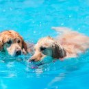 아임버디 이미지