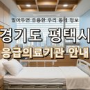 위급 상황 대비! 경기도 평택시 응급실 및 응급의료기관 정보 (2)