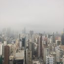 비피인터내셔널 이미지