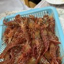 장백왕새우 - 고성군 장치2길 478 | 장백왕새우