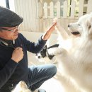 사랑을줄개 이미지