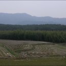 숲소리마을 이미지