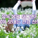 여름철 불청객 초파리 유전학 연구부터 식중독유발까지 이미지