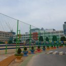 인천서림초등학교 이미지