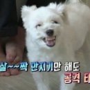 전치과의원