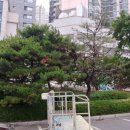 동성전자(주)