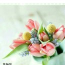 외중경로당 이미지