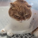 창현동물병원 이미지