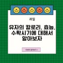 유자인 이미지