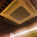 몽실이비어 이미지