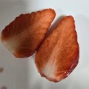 상하2통 | 양산농수산 홍희딸기 7,800원 × 2통 산 후기!!! 빨리상하네..배신감...