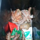 오바2 이미지