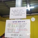 후포 비소 제19호 | [울릉도 여행] 이동 수단 버스/콜택시/렌트