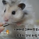 냠냠냠 이미지