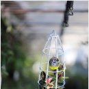 환희농장 이미지