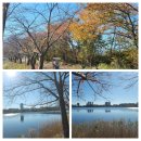 범바위2교량 | 24. 11. 5~7(2박 3일 간. 둘째날) 강원도 속초...바위, 북천철교) 인제 백담사 계곡길 여행 후기입니다.