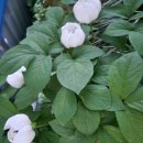 당산농장 이미지