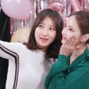 고스튜 이미지