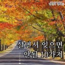 아놀드짐 이미지