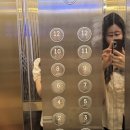 로터스마트 - 아산시 서부남로 853 | 다낭 골든로터스 호텔 조식 후기, 수영장 마트 위치와 시간, 스파 마사지 가격