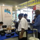 세종 자동차 이미지