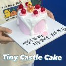대구 수성구 레터링 케이크 만들기 원데이클래스 후기 : 타이니 캐슬 / 대구베이킹클래스