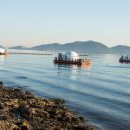 비토해양낚시공원 이미지