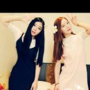 EL ROI(엘로이)