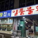 금화횟집
