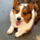 앙글몽글 이미지