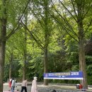 요가베다