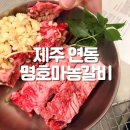스테이마농 | 제주 연동 명호마농갈비 | 아기랑 가기 좋은 고기 맛집, 솔직 리뷰