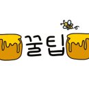 광장13호 이미지