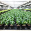 희정농장 이미지