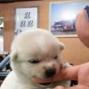 씨유 뉴종로연강홀점 | 250702~0709까지의 기록