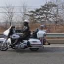 그린쌈밥 이미지