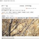카페새로이 - 양주시 호국로 576-19 | 카페새로이