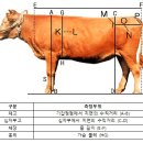 한우연구소 이미지