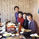 매화강산 이미지