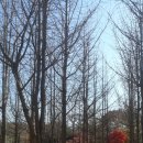 원적산공원 이미지