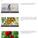 UR(상주시)-[사벌로]-상-3 | 경상북도 상주 이름의 역사와 유래, 문화유산.